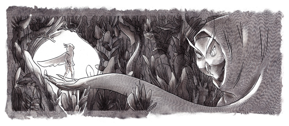 owl illustration
