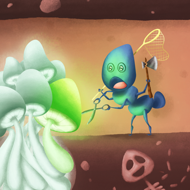 The Mushroom Ants
