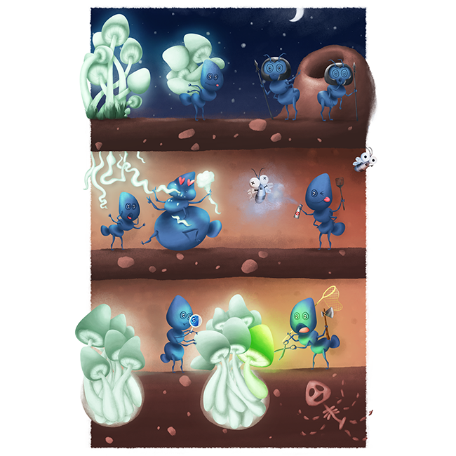 The Mushroom Ants